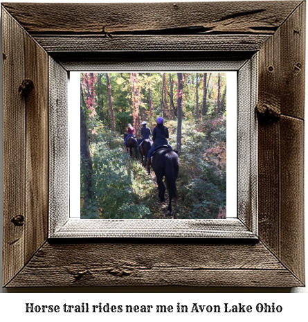 horse trail rides near me in Avon Lake, Ohio